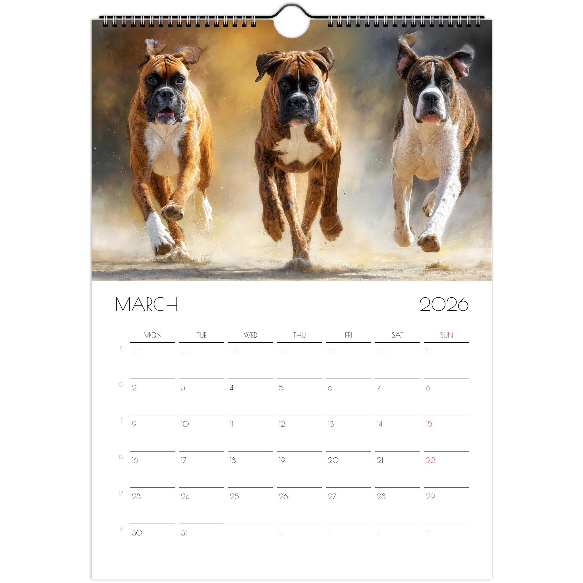 2ddd877e-6f4a-412c-ab65-4f01294d25c4