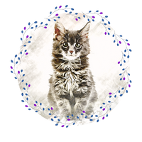 Scrape Art style Pet Hoodie - Unique Design Custom Pet Sweatshirt