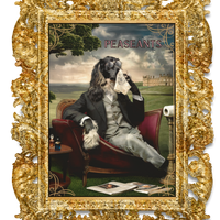 Aristopaws Bathroom Humor - Afghan Hound Wall Art