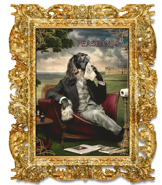 Aristopaws Bathroom Humor - Afghan Hound Wall Art