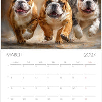 Engelse Bulldog Kalender 2027 – Fine Art Honden Wandkalender voor Bulldogliefhebbers