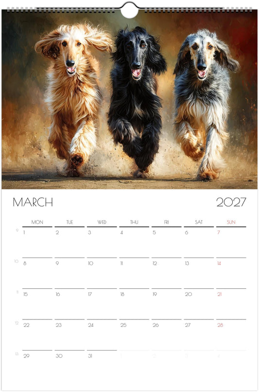 Afghaanse Windhond Kalender 2027 – 12-Maanden Fine Art Honden Wandkalender voor Afghaanse Windhond Liefhebbers