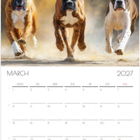 Boxer Kalender 2027 – Fine Art Hondenwandkalender voor Boxerliefhebbers