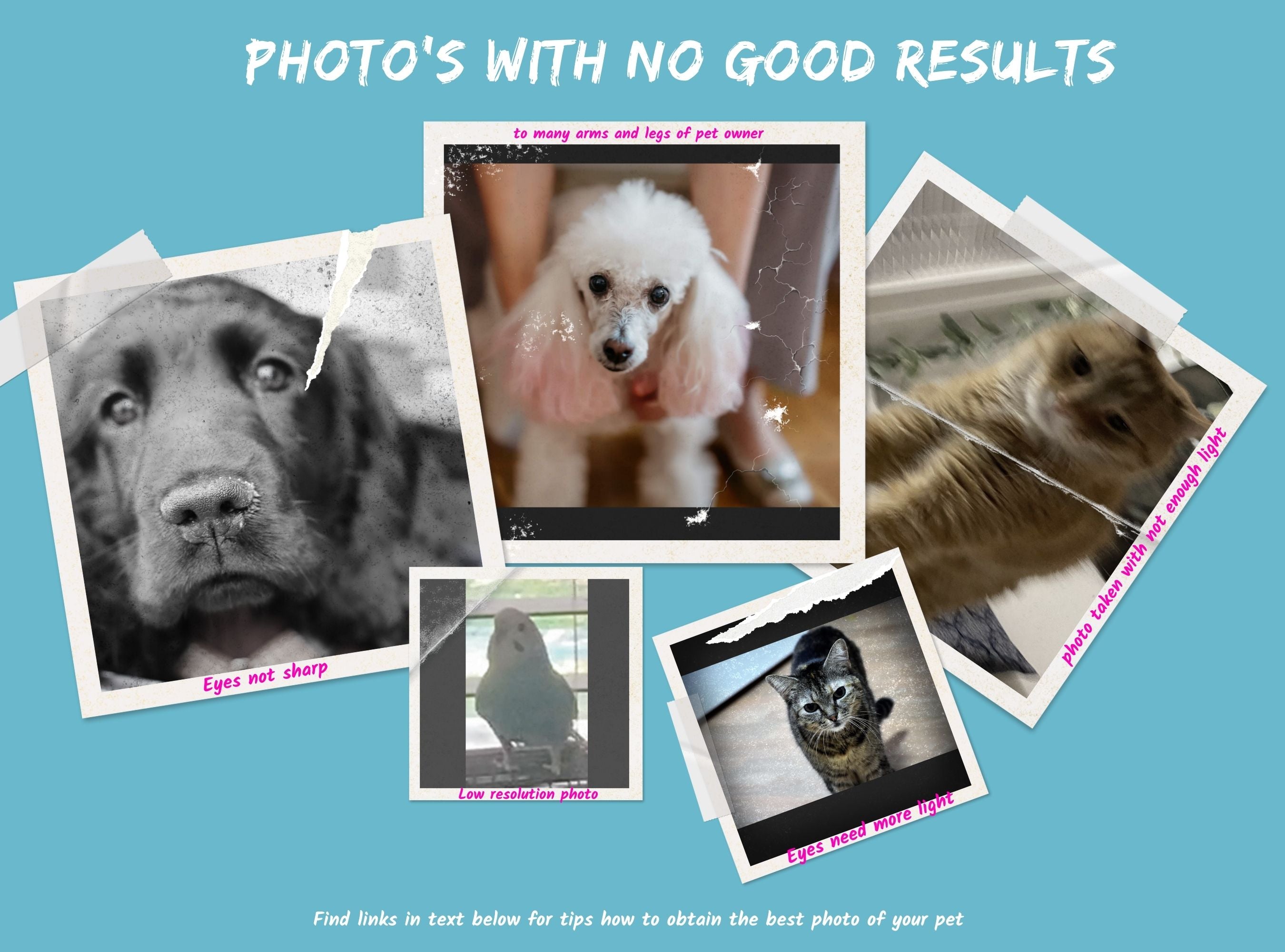 Custom Pet Portrait Mugs - Artful & Personalized Gifts for Any Occasion- 11oz Ceramic Mug