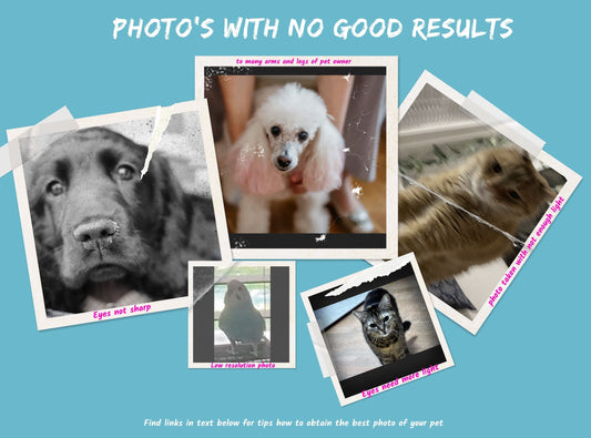 Custom Pet Portrait Mugs - Artful & Personalized Gifts for Any Occasion- 11oz Ceramic Mug